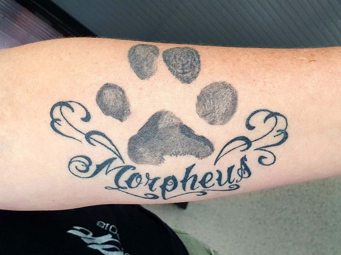 Tattoo - Paw Morpheus - Dan - Kingaroy