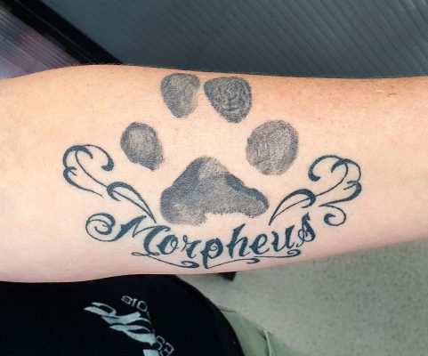 Tattoo - Paw Morpheus - Dan - Kingaroy
