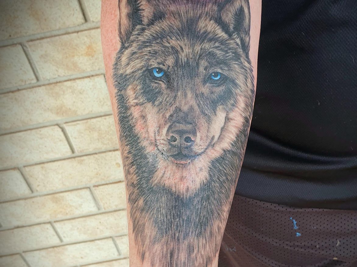 Tattoo - Wolf - Dan - Kingaroy