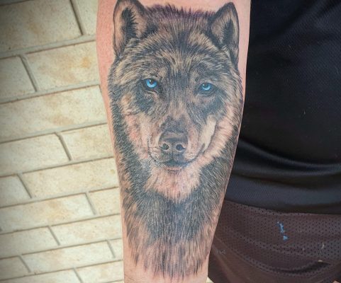 Tattoo - Wolf - Dan - Kingaroy