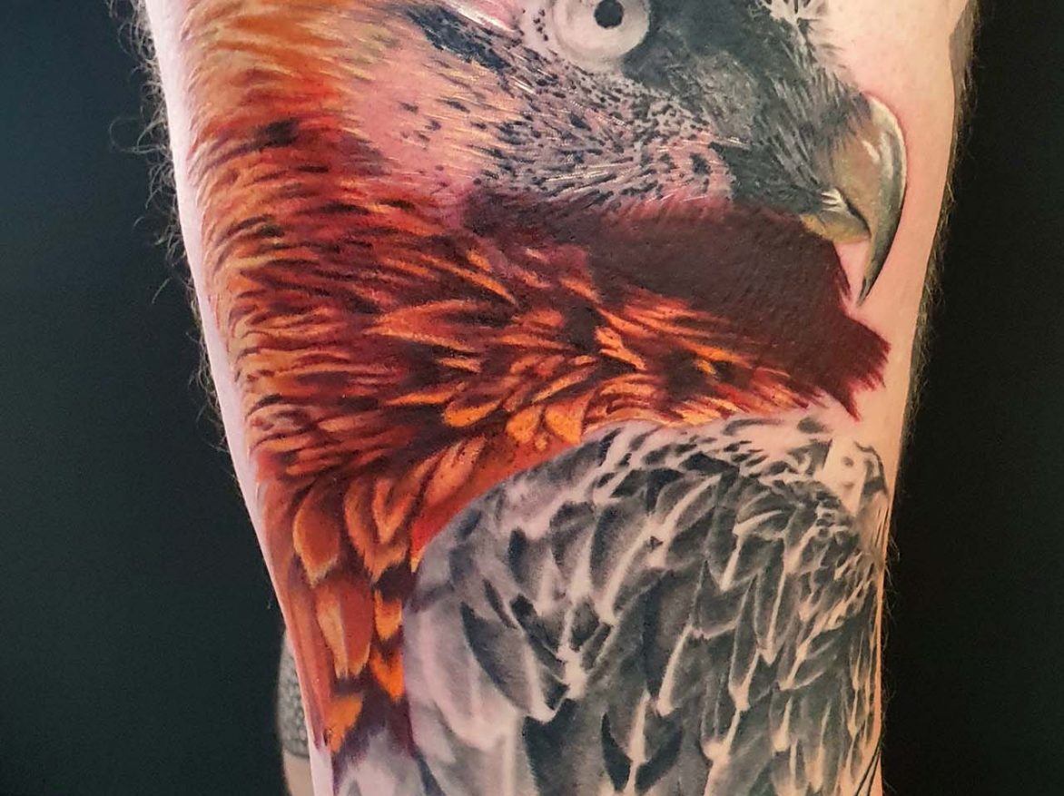 Tattoo - hawk - Dan - Kingaroy