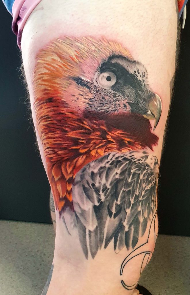 Tattoo – hawk – Dan – Kingaroy