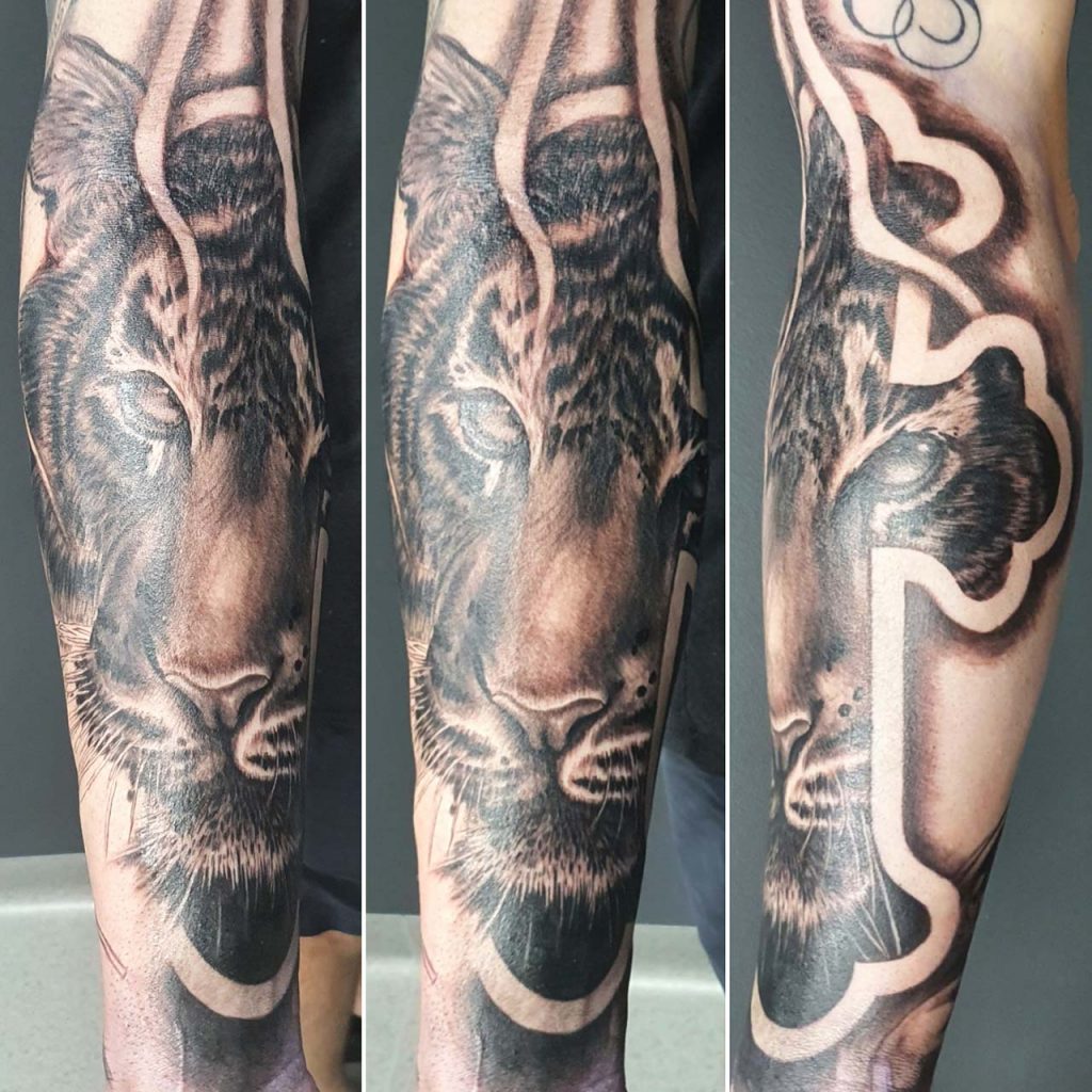 Tiger Tattoo – Dan – Kingaroy
