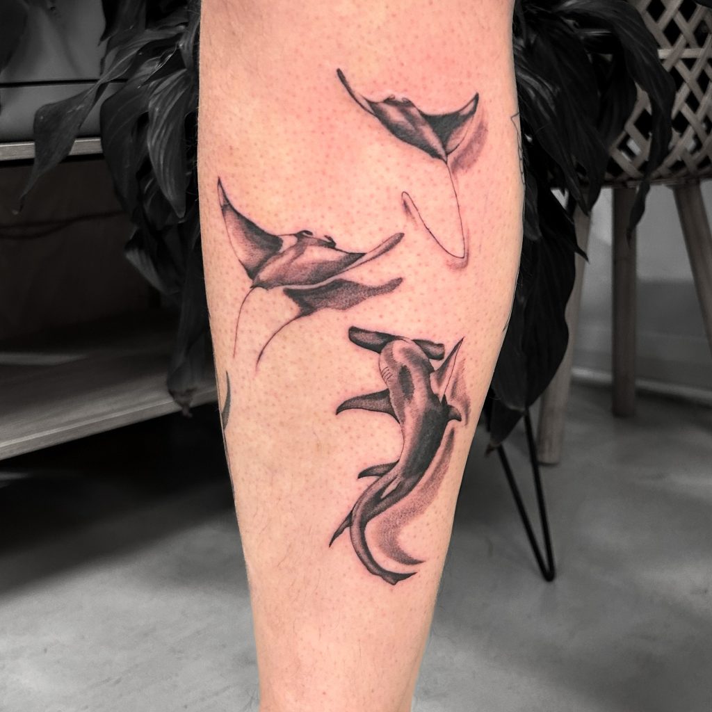 Stingray and shark tattoo Kingaroy – By Danica